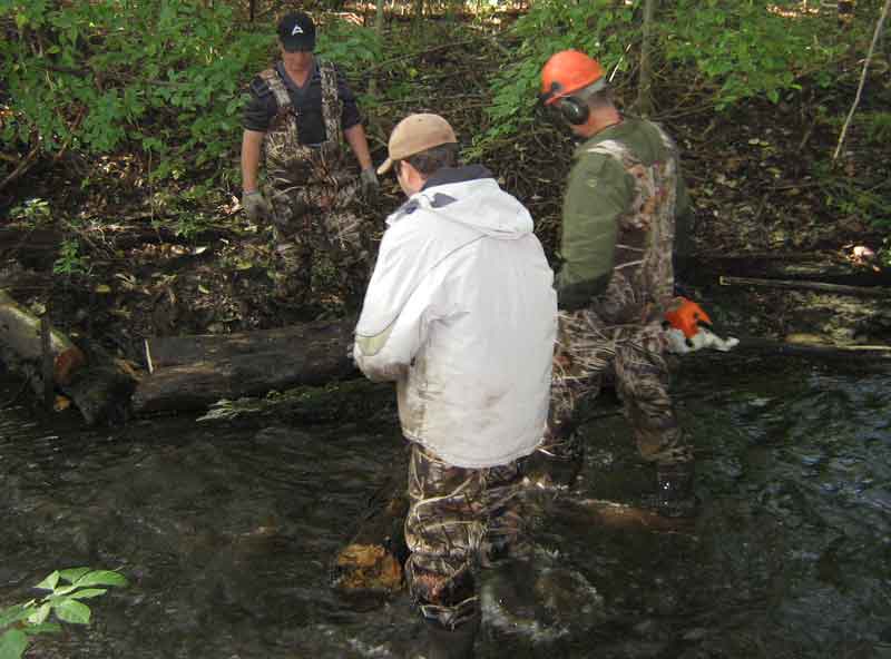 Float Log into Position